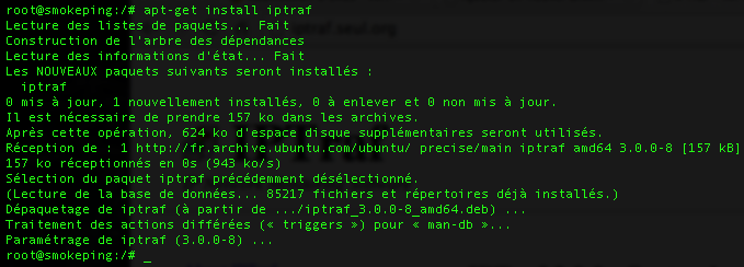 Installation d'IpTraf sous Linux Ubuntu LTS 12.04